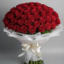 Букет 101 Красная роза Блэк Мэджик в Лобне