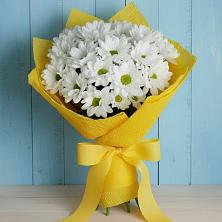 Букет цветов из:  Хризантемы в Лобне