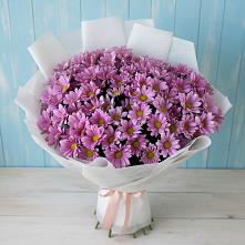 Букет цветов из:  Хризантемы в Лобне