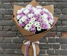 Букет цветов из:  Хризантемы в Лобне