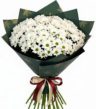 Букет цветов из:  Хризантемы в Лобне