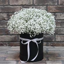 Цветочная композиция из Гипсофила в шляпной коробке в Лобне