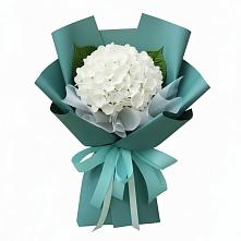 Букет цветов из:  Гортензия #REPLACE_PRED# Лобне
